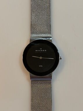Skagen Denmark Silver Mesh Watch with Black Dial